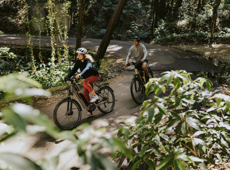 Jak vybrat E-Bike