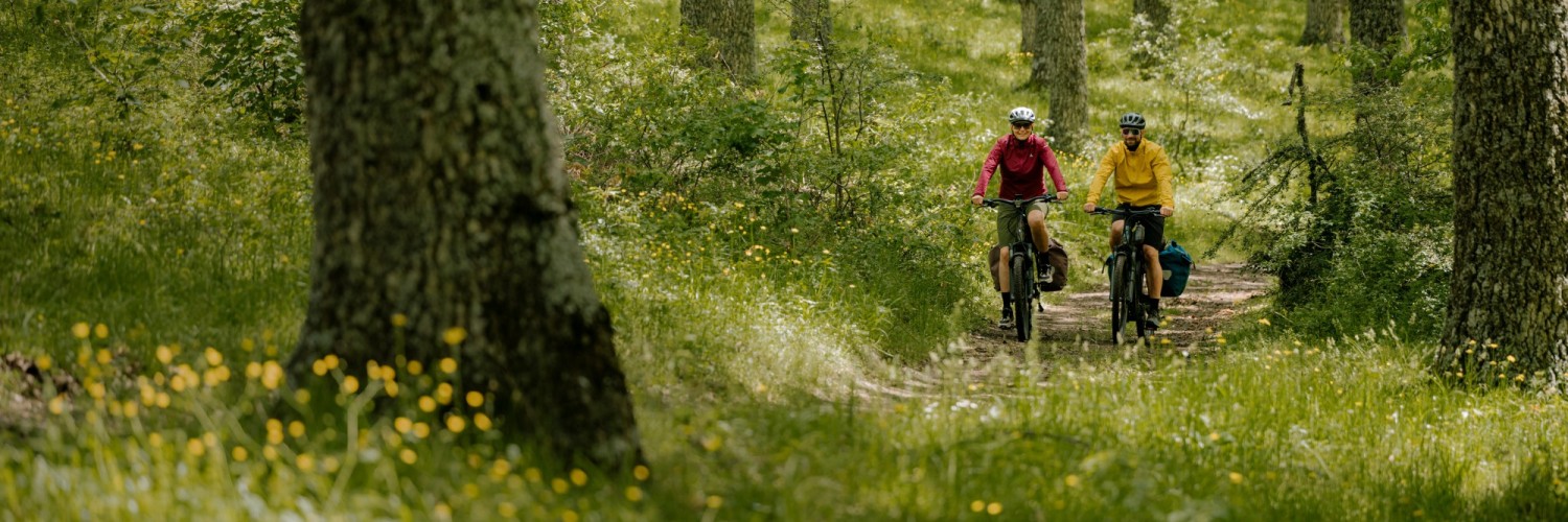 Čeká vás výlet na elektrokole? Jak vyzrát na nejčastější chyby, poradí zkušený ebiker