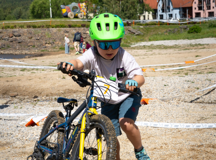 Fest 2026 - Den 2
