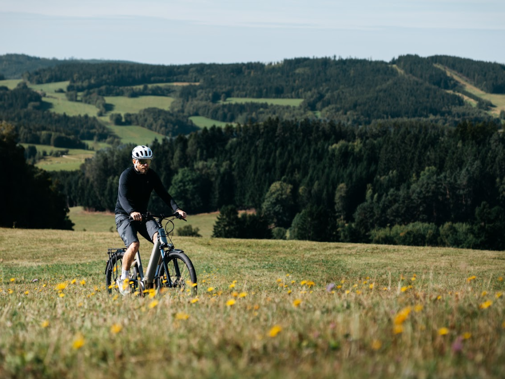 Mit dem Fahrrad zu Bisons und Mufflons