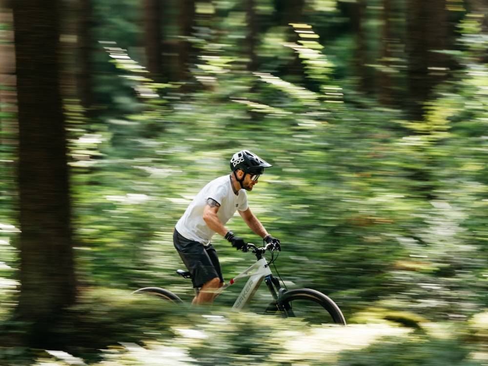 Durch den dunklen Wald nach Rožmberk